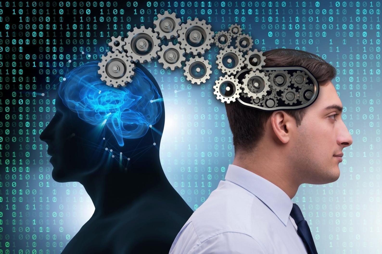 Expense categorization interface